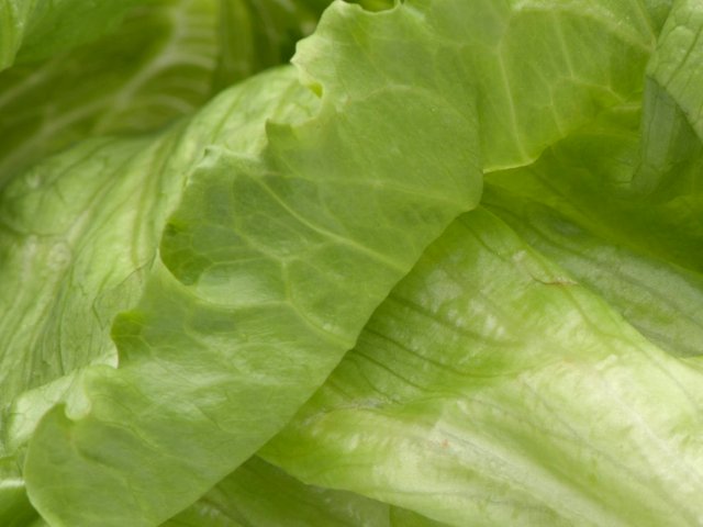 frischer Salat für die Tafel